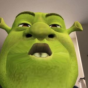 Meet your Posher, Sienna